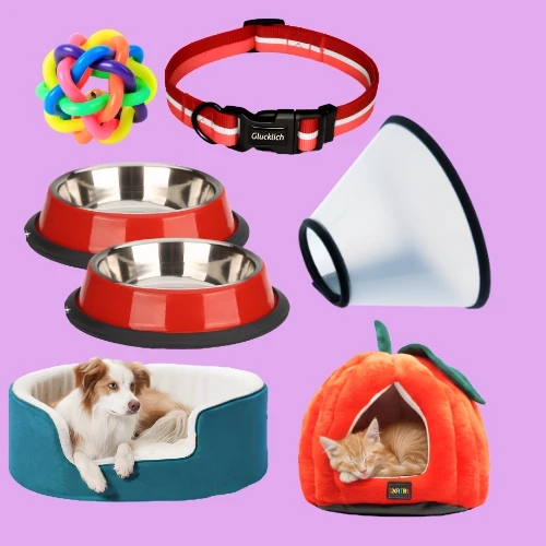 Toys & Accessories