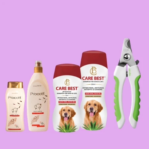 Grooming & Hygiene