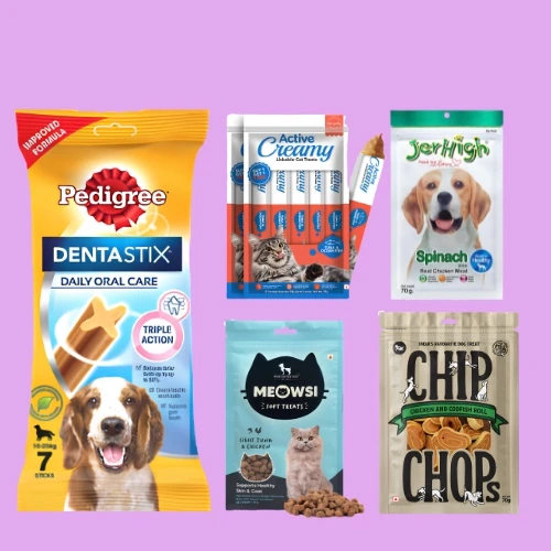 Treats & Chews