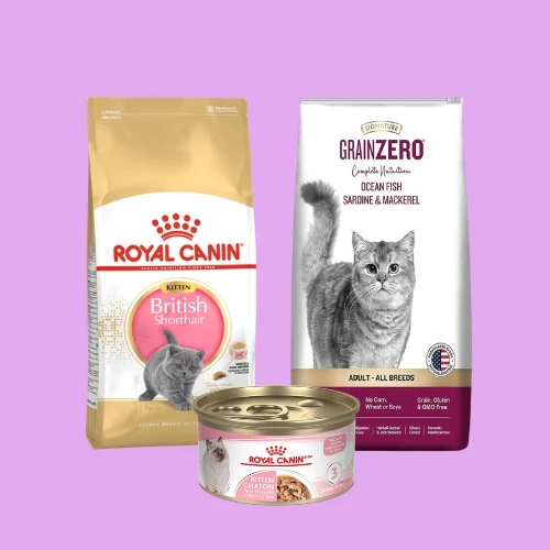 Cat Food