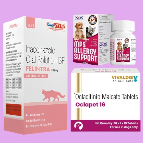 Allergy Support