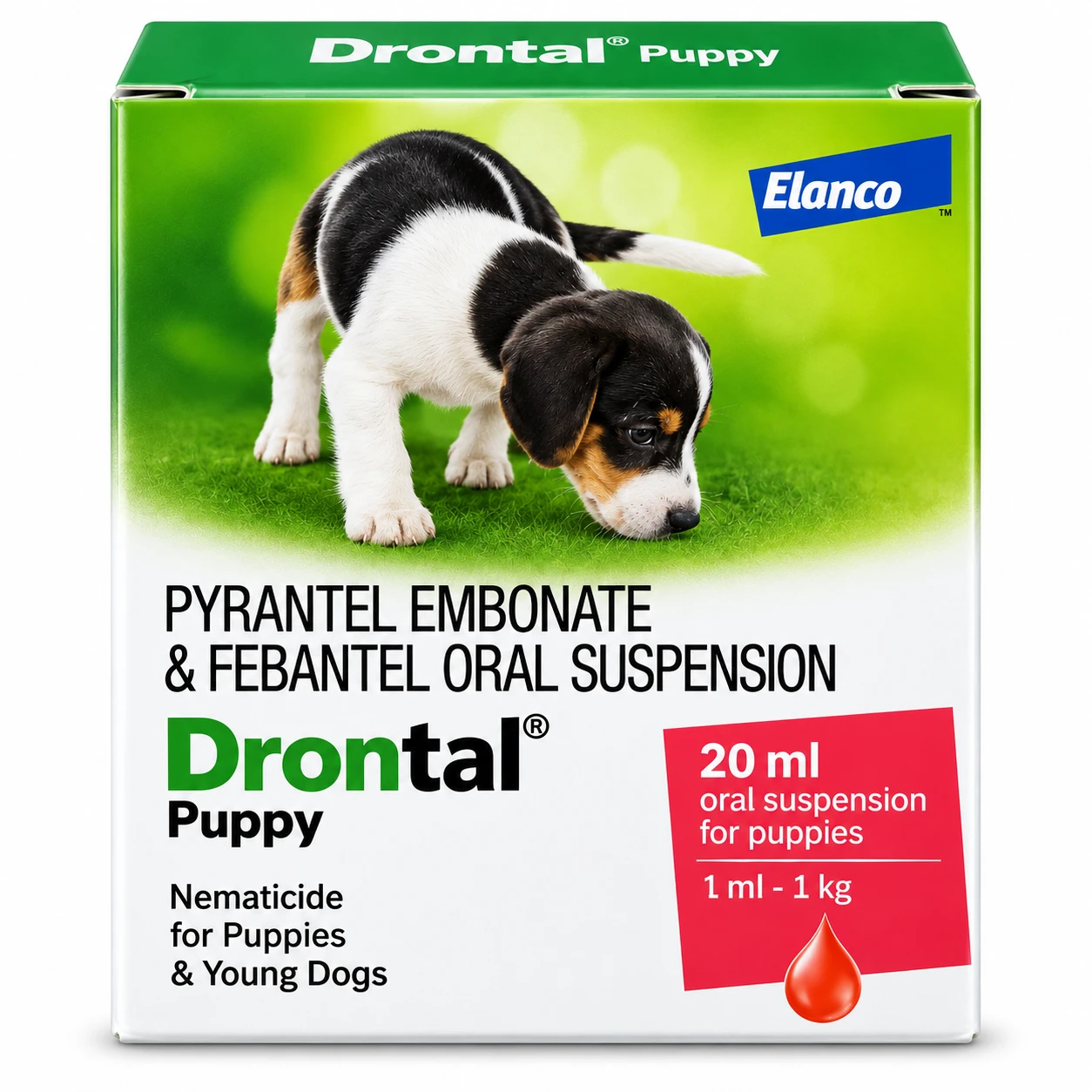 Bayer Drontal Puppy Deworming Suspension for Dogs – 20 ml